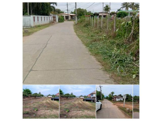 ขายที่ดิน1ไร่3งาน74วา  วาละ8500  ต.น้ำแพร่ อ.หางดง ไฟฟ้า น้ำ  ติดถนนคอนกรีตกว้าง6เมตร  สนใจโทร 0857097675
