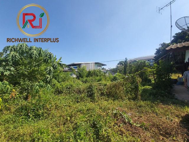 ขายที่ดินอ.พนมสารคาม  155.4 ตรว. ราคา ยกแปลง 650,000 บาท ห่างถนน3076 - 200 เมตร จ.ฉะเชิงเทรา