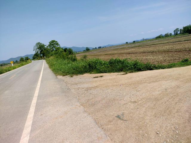 ขายที่ดิน 1215ไร่ ติดถนน อากาศดี เดินทางเข้าออกง่าย  ราคาไร่ล่ะ 120,000 ค่ะ