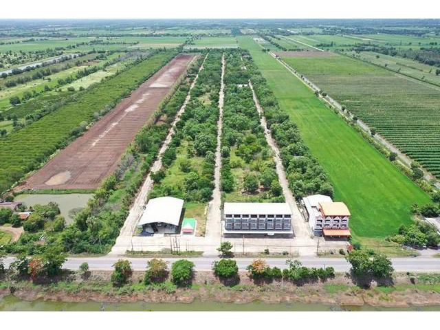 ที่ดิน 62.5 ตรว. คลอง10 หนองเสือ ปทุมธานี