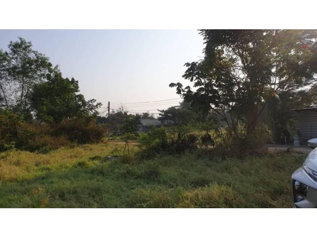 ขายที่ดินหนองควาย หมู่บ้านร้อยจันทร์ พร้อมโอน
