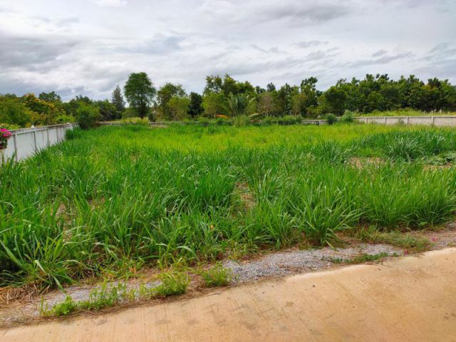 ขายที่ดินเหมาะกับการสร้างบ้าน หัวหิน   (หินเหล็กไฟ )