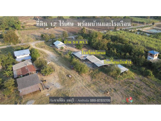 ขายบ้านพร้อมที่ดิน ซ.8 ต.โคกตูม อ.เมือง จ.ลพบุรี
