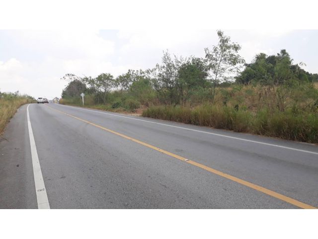 ที่ดิน 12 ไร่ หลังอมตะซิตี้ระยอง ใกล้ตลาดป้าไสว หน้าถนน 2026