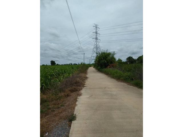ขายด่วน ที่ดิน 18 ไร่ในอำเภอกำแพงแสน