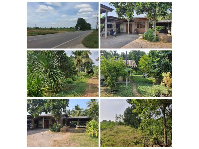 บ้านสวน บรรยากาศดี ติดถนนสายหลัก 4022 เนื้อที่ 5ไร่ 12ตรว. พร้อมบ้าน 2หลัง