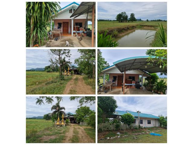 บ้านพร้อมที่ดิน เนื้อที่ 1ไร่ วิวเขาสวย วิวทุ่งนา บรรยากาศดี มีบ่อน้ำ 1บ่อ