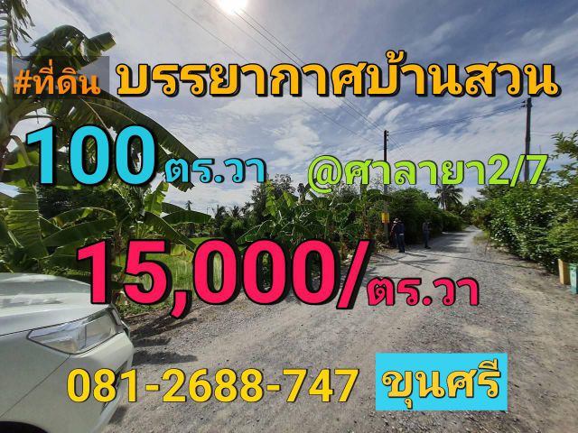 ขายที่ดินศาลายา 100 ตารางวา ซอยศาลายา2/7  ถนนดาวทอง อ.พุทธมณฑล จ.นครปฐม