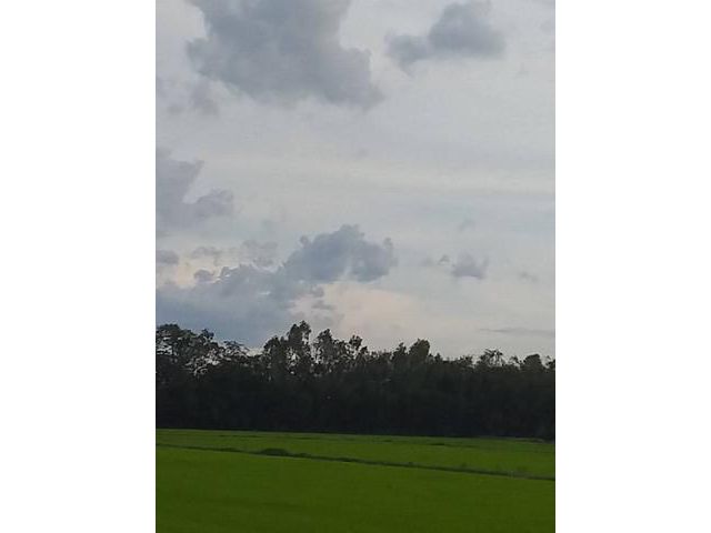 ขายที่ดินอำเภอเมืองจังหวัดเพชรบูรณ์