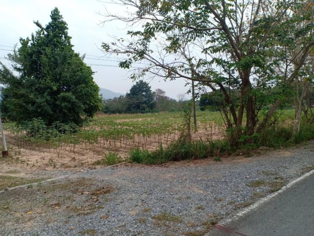 ขายที่ดินสีม่วง 1.5 ไร่ ใกล้ถนนใหญ่เส้น 36 เพียง 900 เมตร นิคมพัฒนา ระยอง