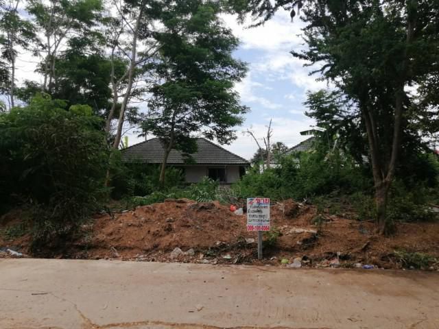 ขายที่ดินถมแล้ว2แปลงๆละ50ตรว.ต.บ่อตาโล่​ อ.วังน้อย​ จ.พระนครศรีอยุธยา​