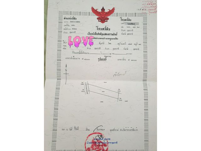 ขายที่ดินพร้อมโฉนดขนาด 2 งาน จังหวัดอุดรธานี