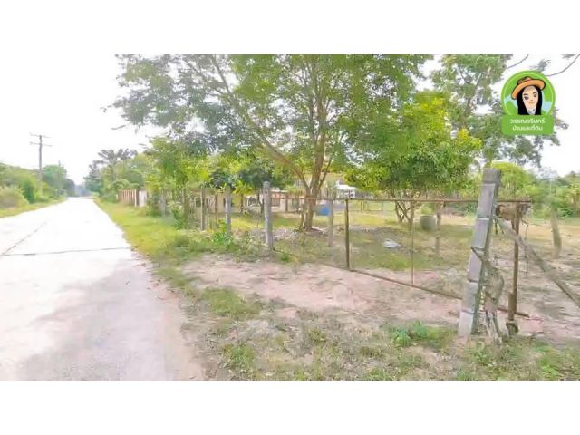 ที่ดินแปลงสวยบ้านนาดูนน้อย/ขามใหญ่ ติดคอนกรีต 42 เมตร