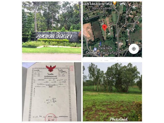 ขายที่ดินจัดสรรในโครงการภูหมอกวิลเลจอ.เขาค้อจ.เพชรบูรณ์โฉนด242ตรว.ขาบตรว.ละ15000บาทติดต่อ0866008845พรชัยครับ