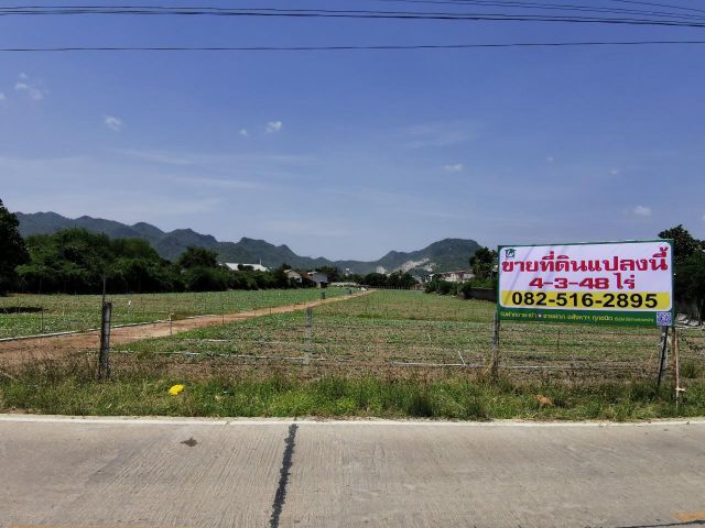 ลดกระหน่ำ !!! ที่ดินทำเลงาม รูปแปลงสวย การคมนาคมสะดวก ในซ.ท่าล้อ 47 อ.ท่าม่วง กาญจนบุรี ใกล้โฮมโปร, โรบินสัน