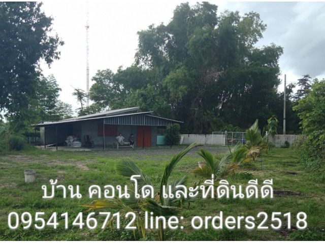 บ้านสวนดอยสะเก็ด