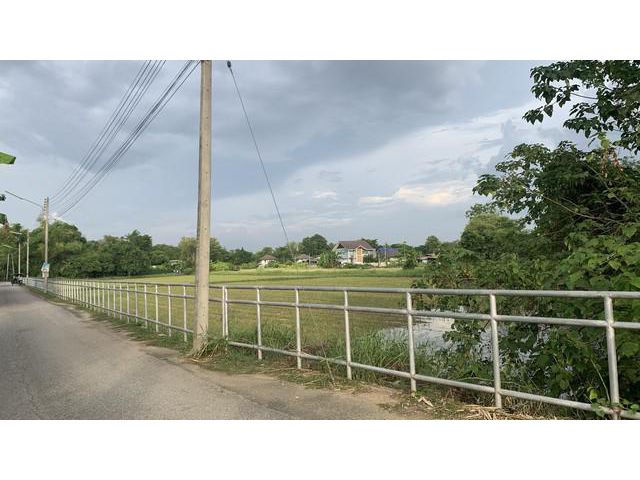 ขายด่วน ที่ดินทำเลสวยในอำเภอเมืองเชียงใหม่