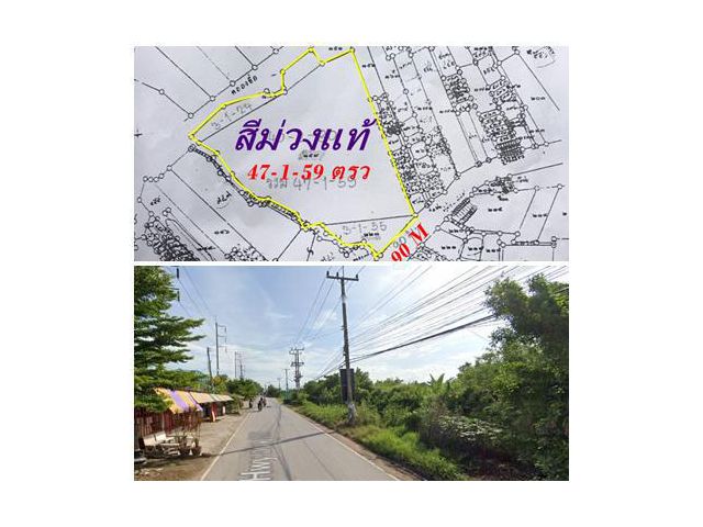 ขายที่ดินสีม่วงแท้47-1-59 ตรว. สมุทรสาคร ที่สวยสามารถสร้างโรงงานได้เต็มรูปแบบถนนกว้างรถเทรนเลอร์วิ่งสะดวกสบาย ใกล้พระราม2