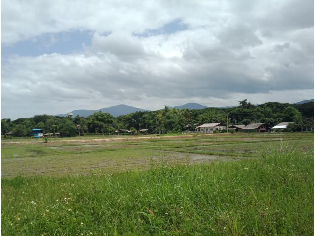 ที่ดินแบ่งขายบ้านห้วยทราย อ.แม่ริม