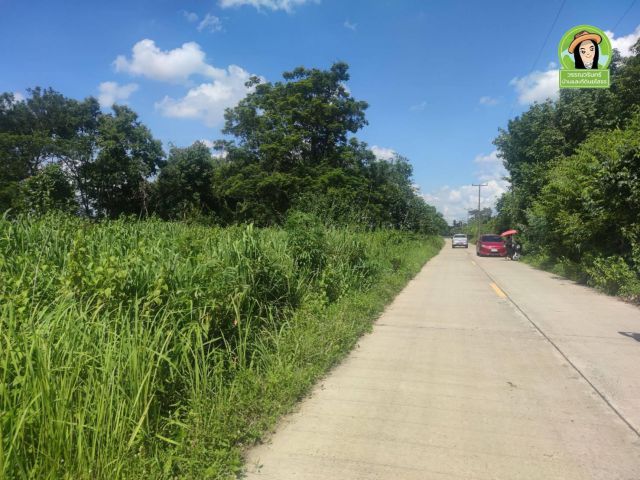 ที่นาถมดินแล้ว เหมาะสร้างบ้าน ต.หนองไข่นก ิอ.เมือง/ อุบลฯ