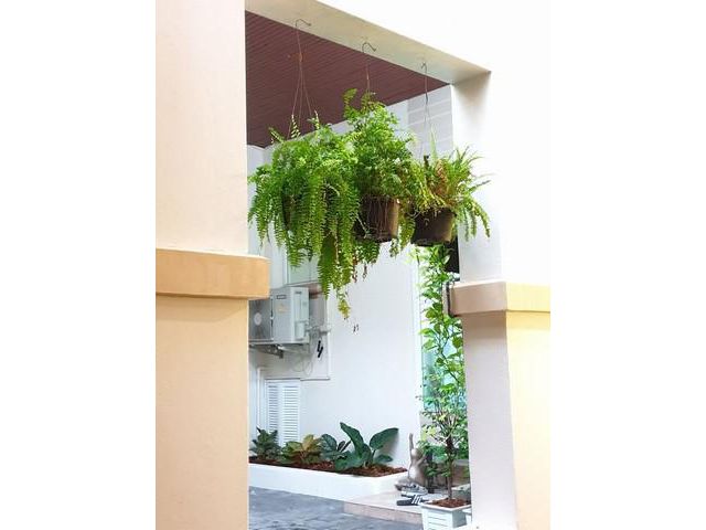 ให้เช่าทาวน์โฮม 4ชั้น หลังมุม ลาดพร้าว18 วิภาวดี20