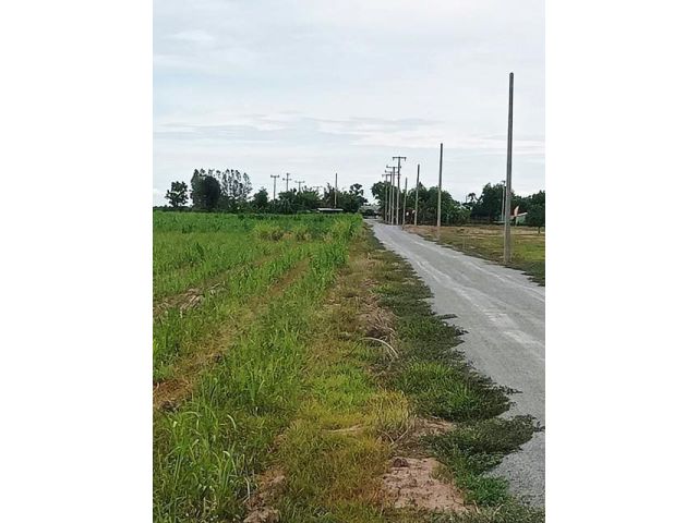 ขายที่ดินสวย จ.สุพรรณ (สด-ผ่อน) บรรยากาศดีทำเลดี เหมาะสร้างบ้านสวนยามเกษียณ