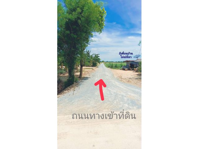 ขายที่ดินสวย จ.สุพรรณ (สด-ผ่อน) บรรยากาศดีทำเลดี เหมาะสร้างบ้านสวนยามเกษียณ