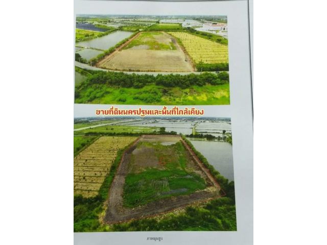 ขายที่ดินถมแล้ว19ไร่ (ผังชมพู)ใกล้ศูนย์ราชการนครปฐม