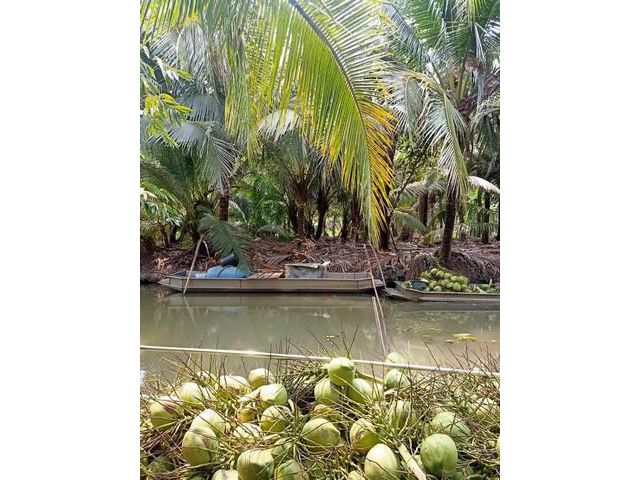 ขายที่ดิน หนองเสือ  4 ไร่ ราคาถูก
