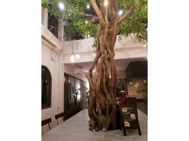 ให้เช่าบ้านเหมาะทำร้านกาแฟ 2 ชั้น สุขุมวิท49