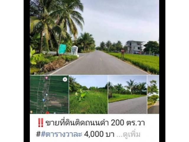 ขายที่ดินติดถนนดำ 200 ตารางวา เลียบคลอง14