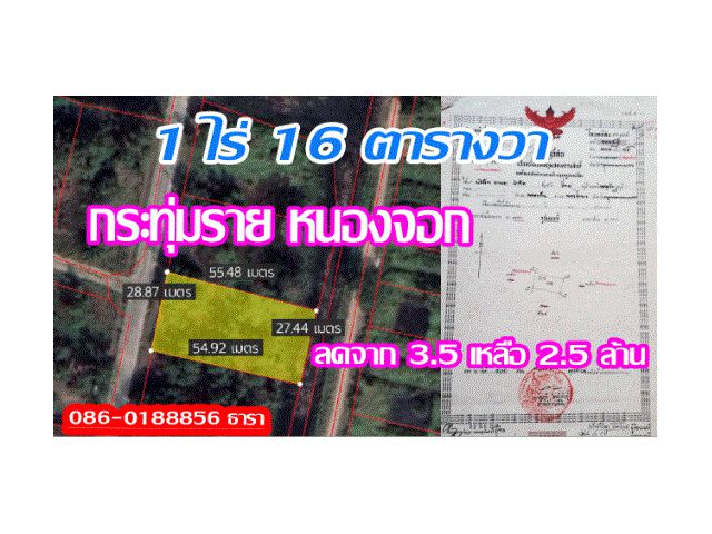 ขายที่ดินกระทุ่มราย ใกล้รถไฟฟ้า สายสีชมภู สายสีส้ม เนื้อที่ 1 ไร่ 16 ตารางวา