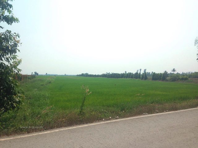 ขาย ที่ดินเปล่า คลอง 14 ถนนรังสิต-นครนายก #LB73 - 016268
