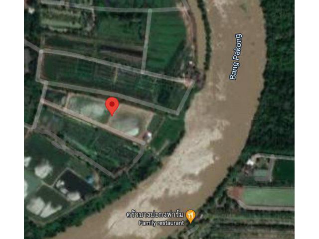 ขายที่บ่อติดแม่น้ำบางปะกง 11 ไร่ แถมที่งอก 3 ไร่ ใกล้โรงเรียนบ้านพลับ บางคล้า - 400 เมตร จ.ฉะเชิงเทรา