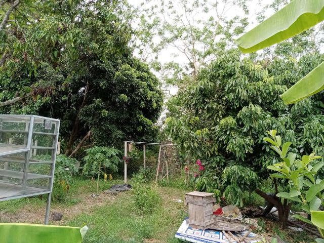 BDK0096 ขายที่ดิน พร้อมเอกสารสิทธฺ์ โฉนด ที่ดินทำเลสวย ที่ดินมีขนาด  5ไร่ 93 ตรว.