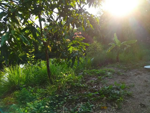 ที่ดินทำเลทอง อยู่ติดถนนเส้นรอบเมืองหนองบัวลำภู