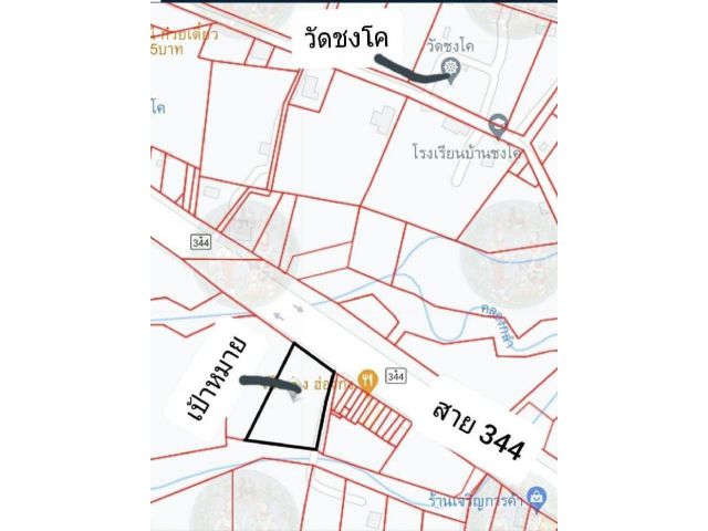 ที่ดินติดถนนสายหลัก344 อ.วังจันทร์ จ.ระยอง 4ไร่กว่า