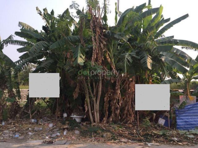 PJL235 ขายและให้เช่าที่ดินเปล่า 1 ไร่ 25 ล้าน ถนนกรุงเทพกรีฑาตัดใหม่ (ถนนศรีนครินทร์-ร่มเกล้า)