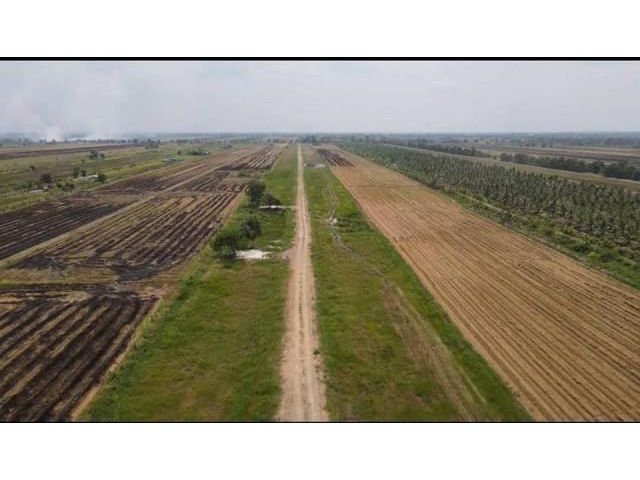 ขายที่ดิน คลอง 25 อำเภอองค์รักษ์ หลัง มศว และ รร.สาธิต 5 กม. (ขายที่ดินเงินสด-ผ่อนได้)