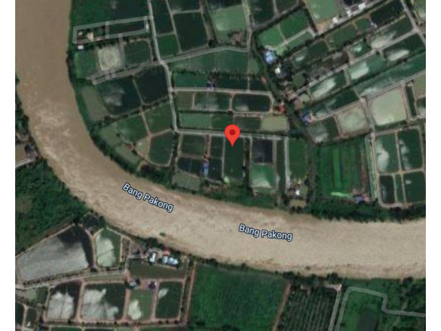 ขายที่บ่อบางคล้าติดแม่น้ำบางปะกง 4.5 ไร่ ใกล้ถ.เส้น 5033 - 3 กม. จ.ฉะเชิงเทรา