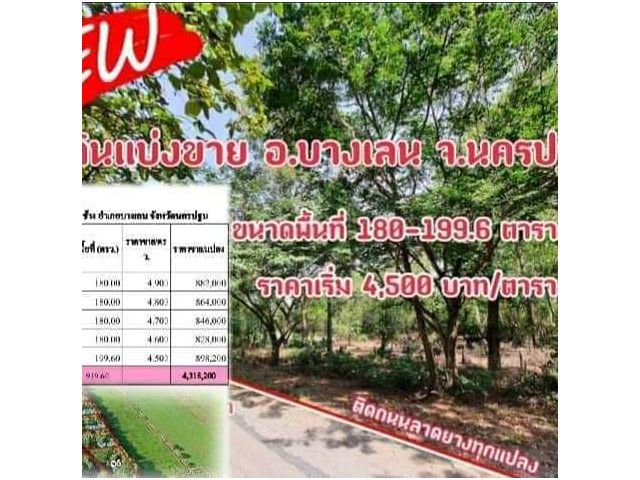 ขายถูก ที่ดิน โครงการสนามกอฟล์ไดนาสตี้  บางเลน