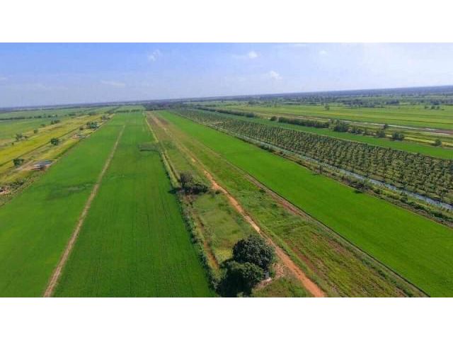 ขายที่ดิน คลอง 25 องครักษ์ นครนายก 200 ตรว. 700,000 บาท