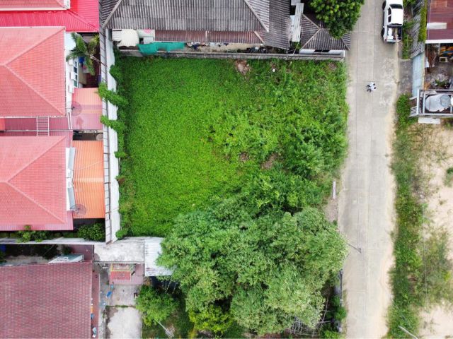 ขาย ที่ดิน พุทธมณฑลสาย4   อำเภอสามพราน นครปฐม