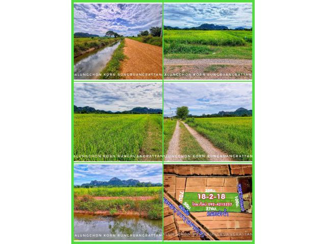 ขายที่นาติดคลองชลประทาน วิวสวย ดินดี น้ำดี อ.ปากท่อ จ.ราชบุรี