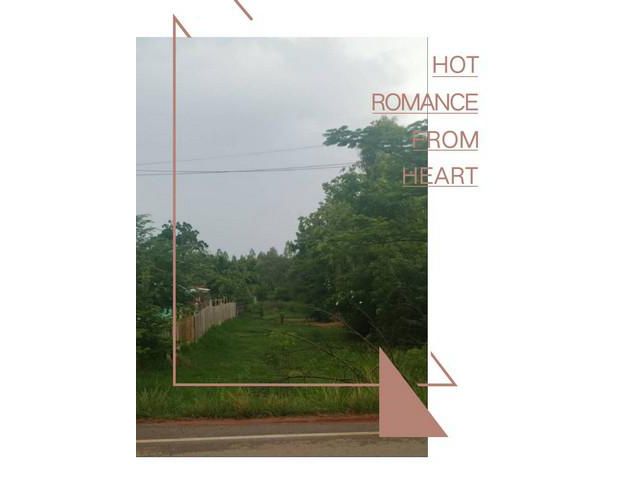 ลดจริงแจกจริง โปรหนัก  ที่ดิน  จ.ขอนแก่น