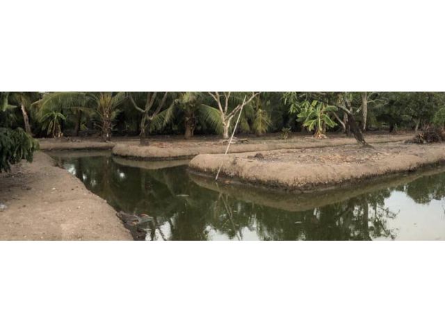 PR464ขายที่ดินติดแม่น้ำท่าจีน 2 ไร่ (แถม 1 ไร่ ที่ดินงอก)