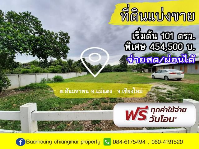ขายที่ดิน101 ตรว. ใกล้ตลาดแม่มาลัย
