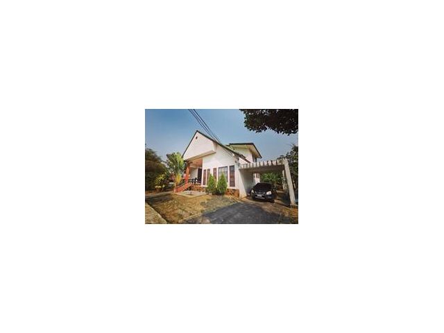 บ้านกลางดง ที่ดินสวยราคาถูก ติดถนน พื้นที่ 1-2-76 ไร่