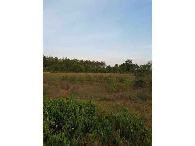 ขายที่ดิน นส.3ก.จำนวน 23 ไร่ๆละ 2.5 ล.