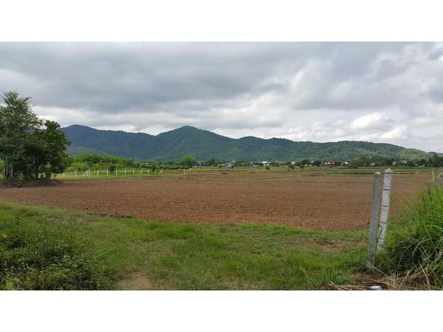 ขายด่วนที่ดิน ในตำบลบ้านดู่ อ.เมือง